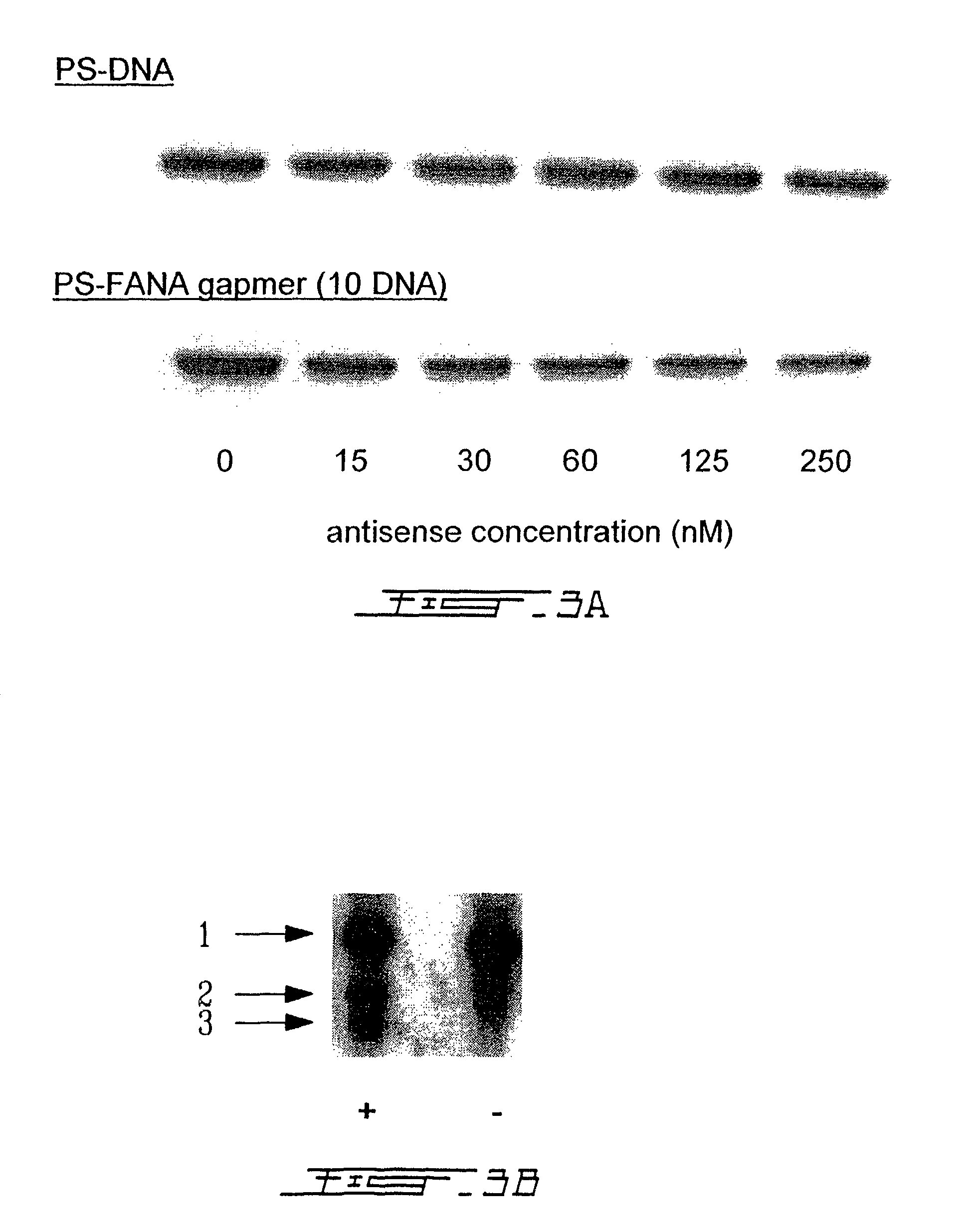 Chimeric antisense oligonucleotides of arabinofuranose analogue and deoxyribose nucleotides