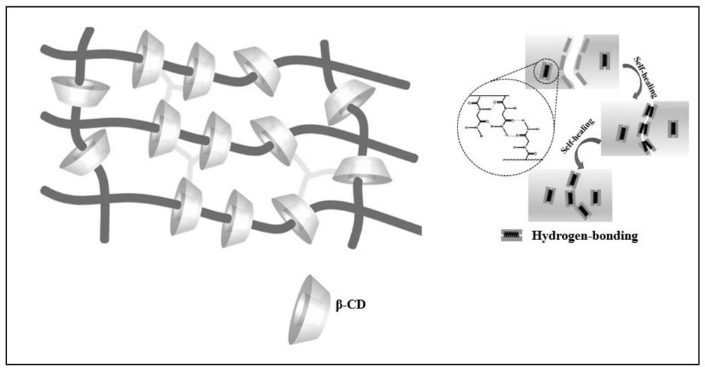 A self-healing elastomer with high cross-linking topology and its preparation method and application