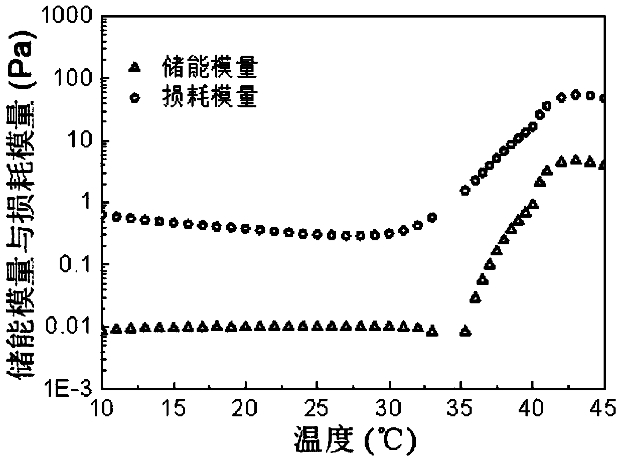 HER-2 humanized monoclonal antibody long-acting sustained-release preparation and preparation method thereof