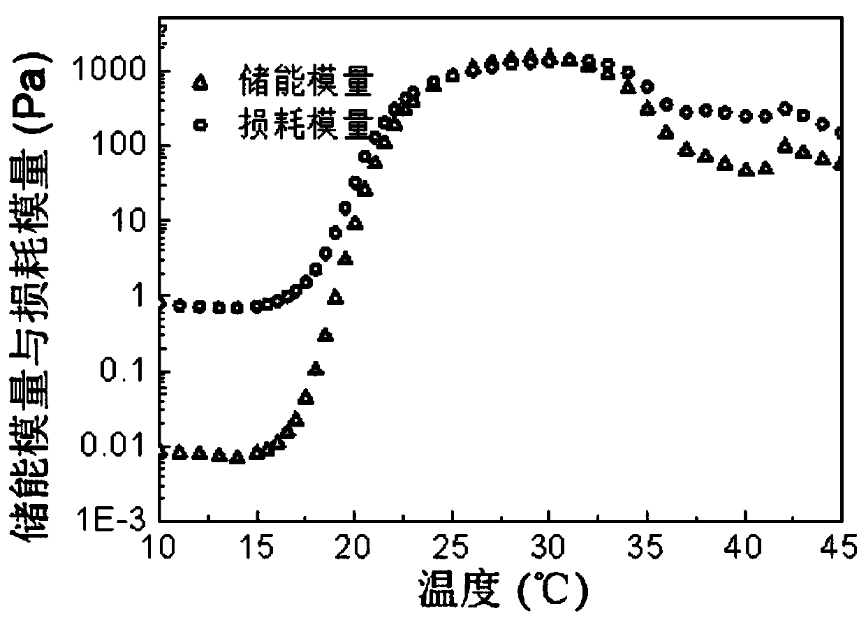 HER-2 humanized monoclonal antibody long-acting sustained-release preparation and preparation method thereof