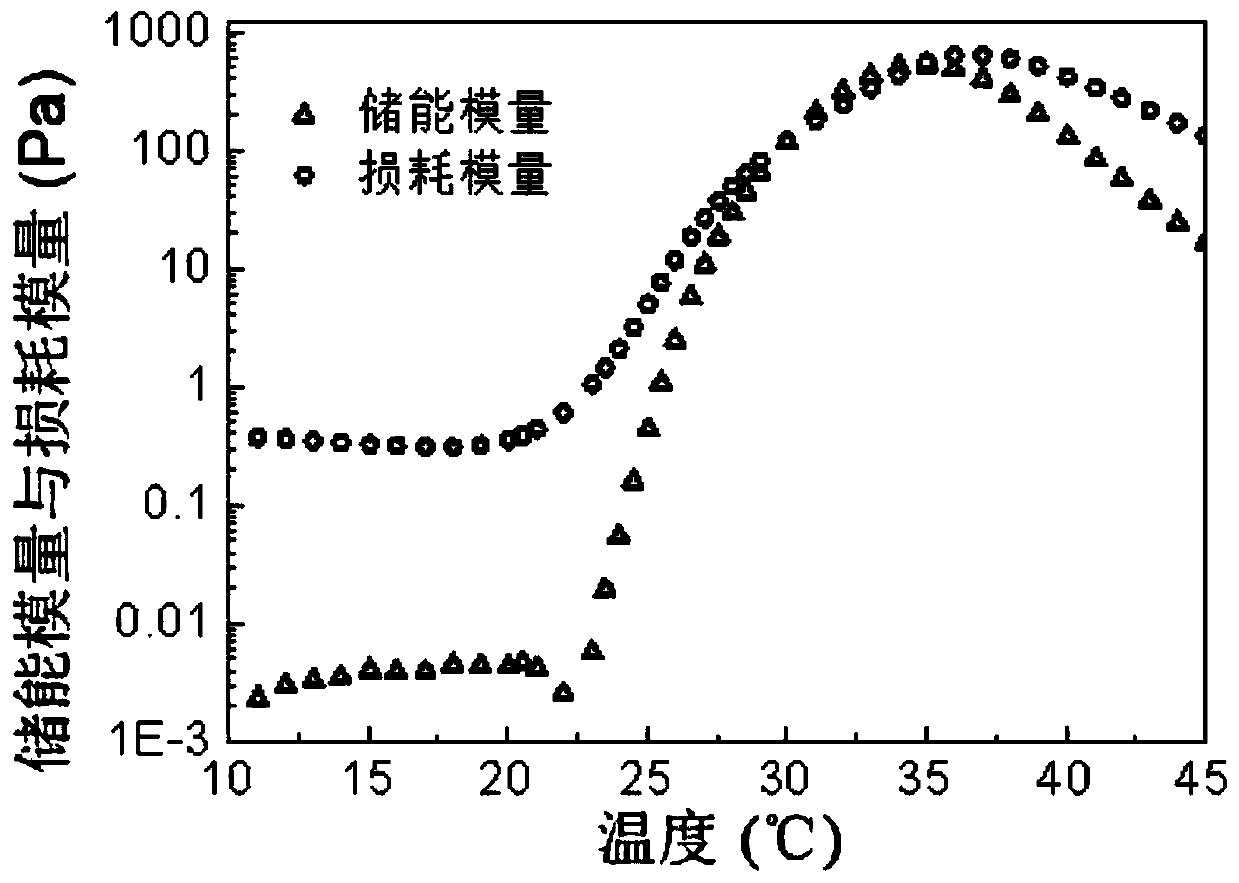 HER-2 humanized monoclonal antibody long-acting sustained-release preparation and preparation method thereof