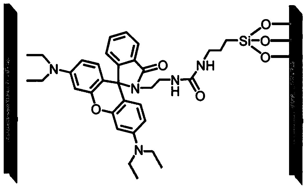 A kind of immobilized rhodamine b-based fluorescence sensor and preparation method thereof