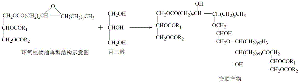 Vegetable oil polyalcohol with high hydroxyl value as well as preparation method and application of vegetable oil polyalcohol