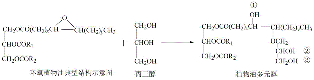 Vegetable oil polyalcohol with high hydroxyl value as well as preparation method and application of vegetable oil polyalcohol