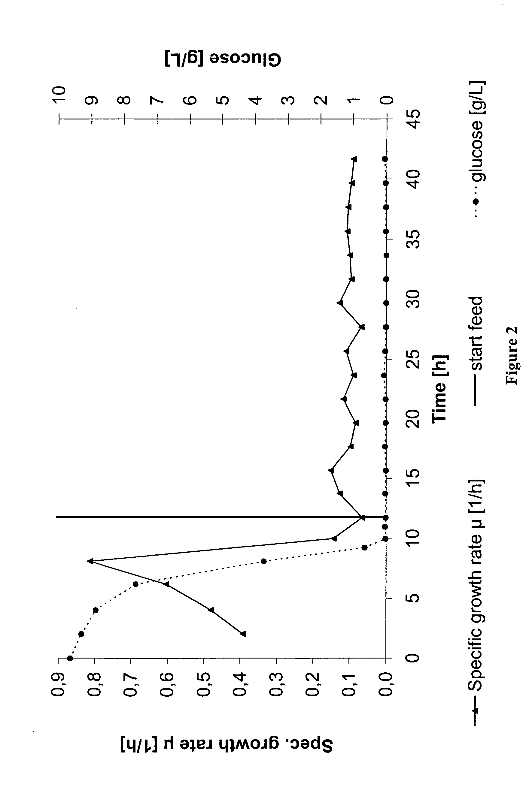 Fed-batch fermentation process and culture medium for the production of plasmid DNA in E. coli on a manufacturing scale