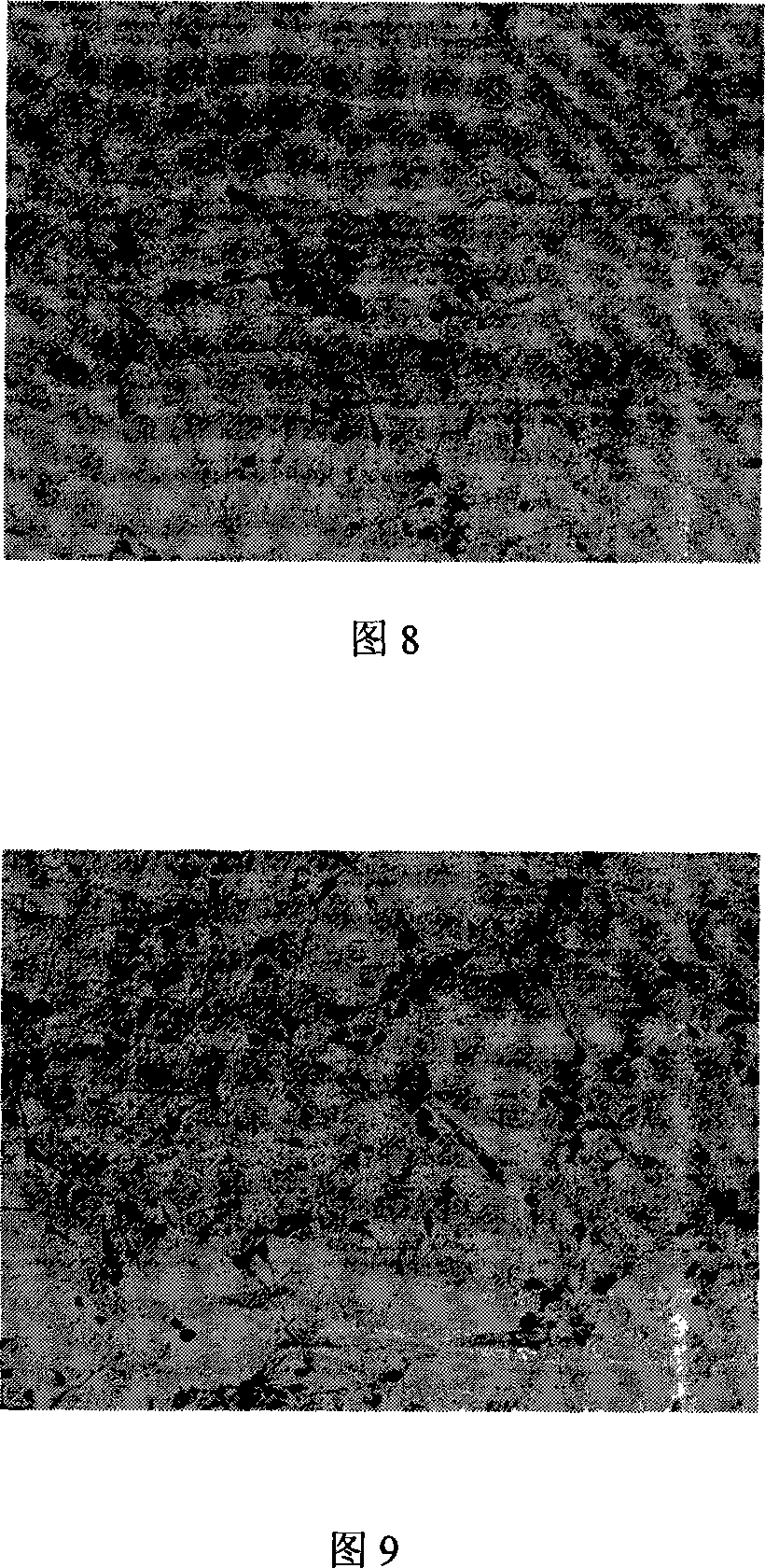 Novel method for preparing catalpol medicament composition containing the same and uses thereof