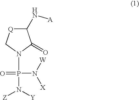 alpha-Amino-N-(diaminophosphinyl)lactam derivatives
