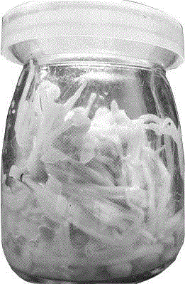 Bio-processing method for fermentation of edible mushroom probiotics and edible mushroom probiotic instant food