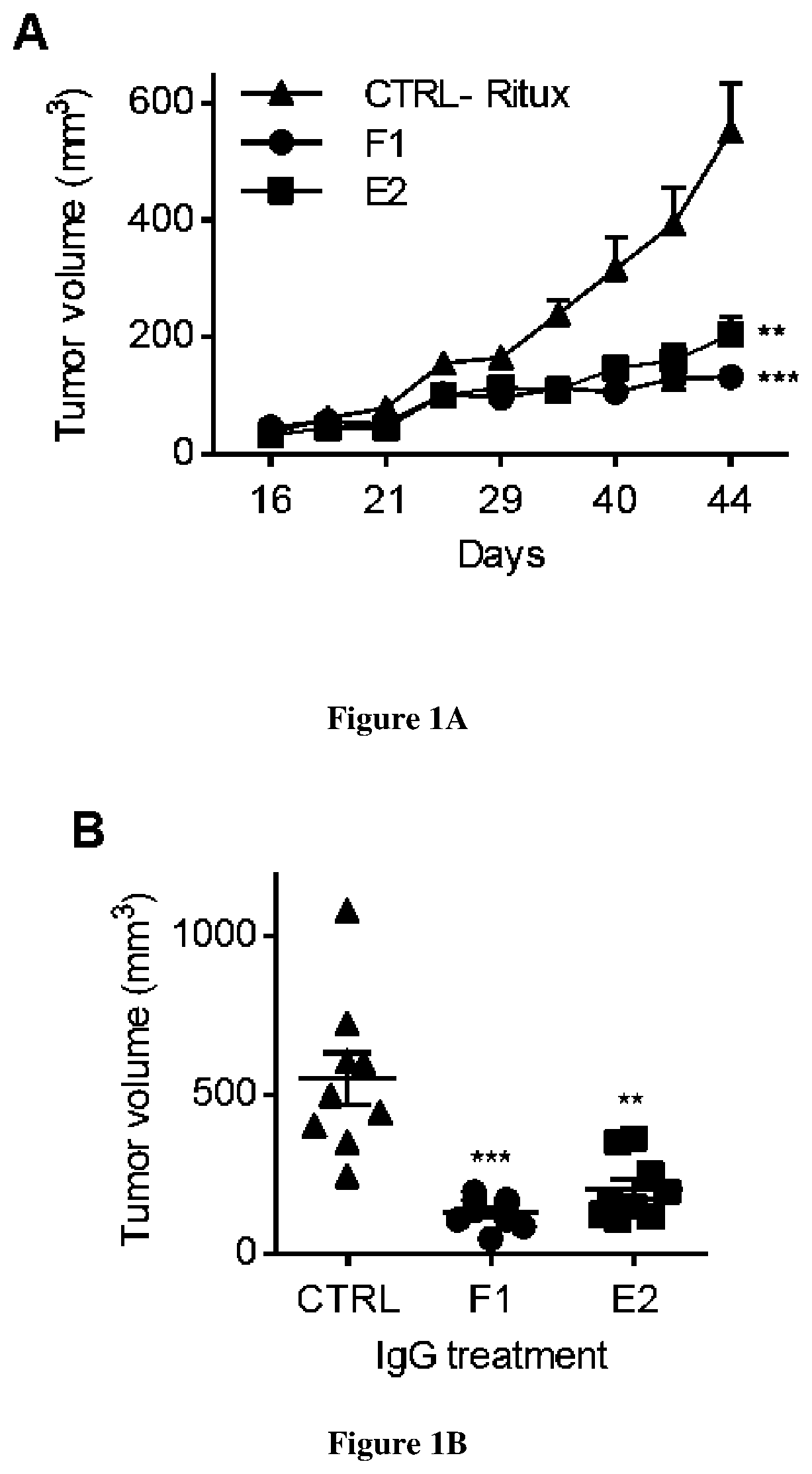 Methods and compositions for treating cancers by immuno-modulation using antibodies against cathespin-d