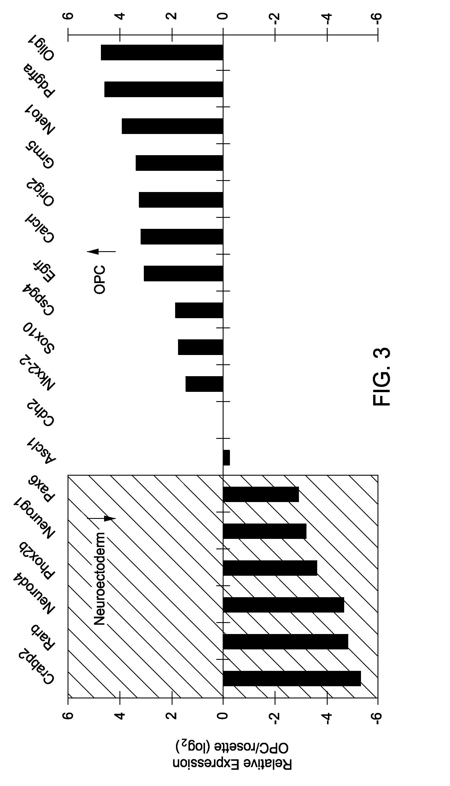 Differentiation method for production of glial cell populations