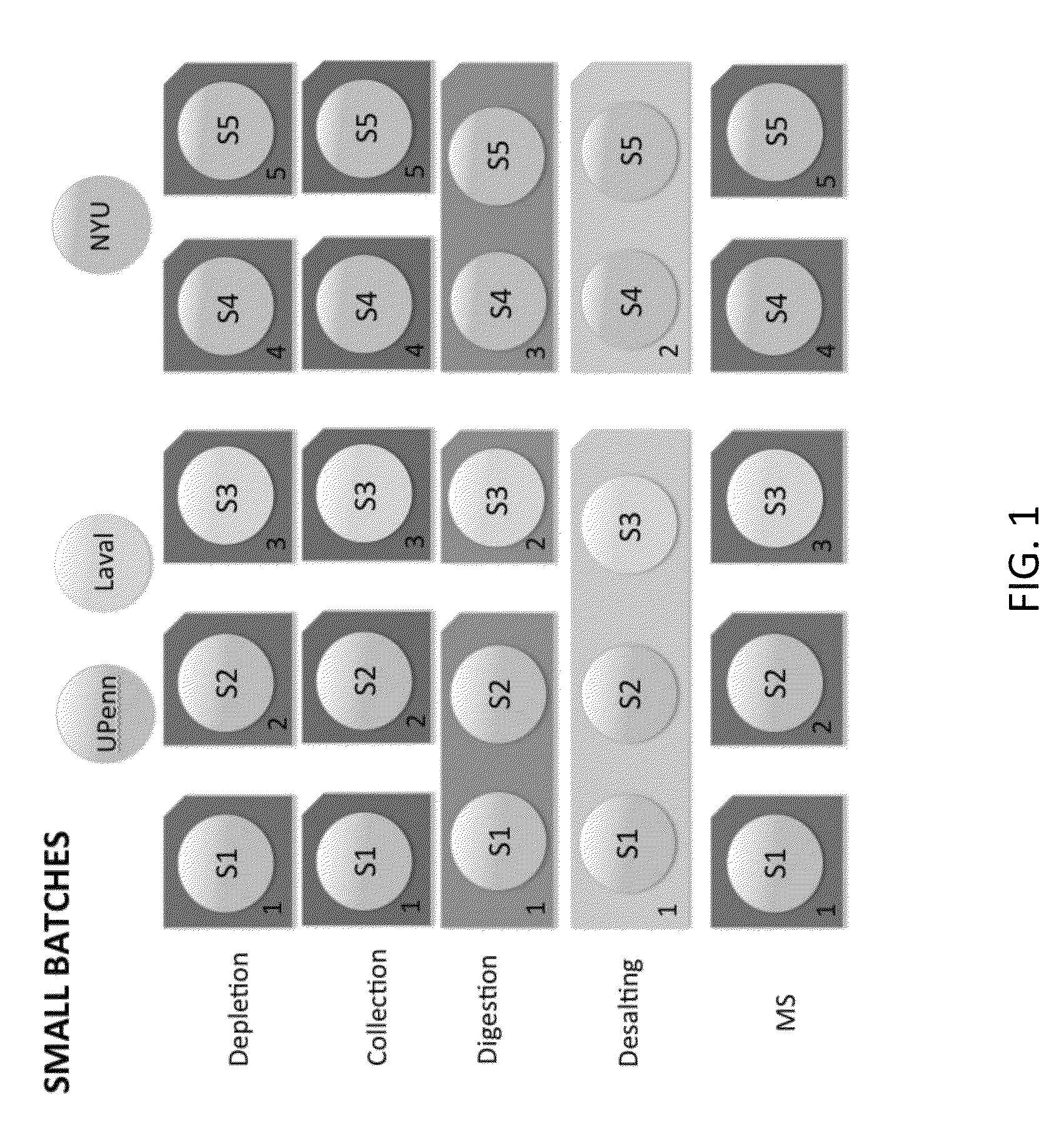 Compositions, methods and kits for diagnosis of lung cancer