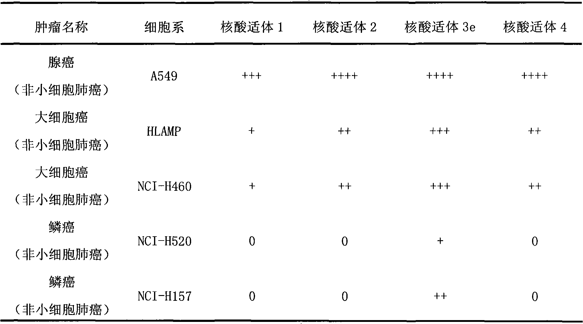 Aptamer for typing different non-small cell lung cancer subtypes and screening method thereof