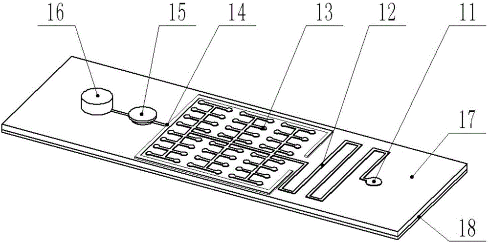 Sperm quality fast detection system and detection method based on micro-fluidic chip