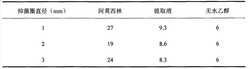 Ultrasonic microwave extraction method of spartina anglica total alkaloids and use of antibacterial activity of the spartina anglica total alkaloids