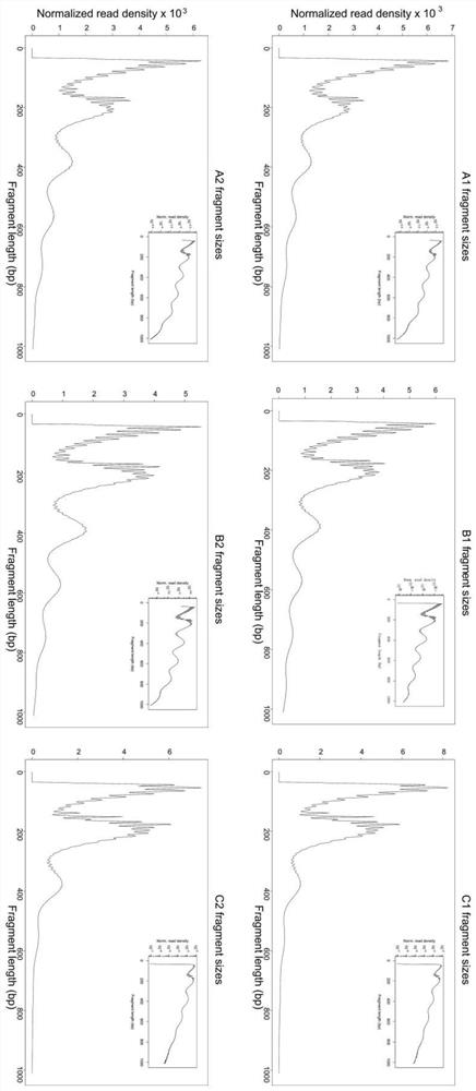 Preparation method of accurate quantitative ATAC-seq library and kit