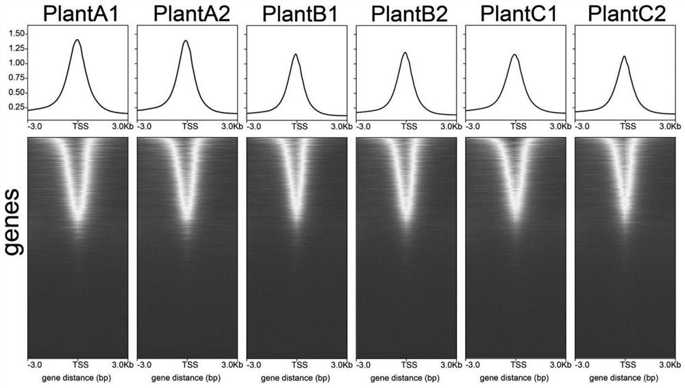 Preparation method of accurate quantitative ATAC-seq library and kit