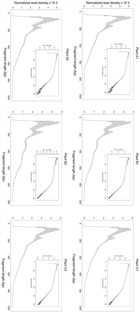 Preparation method of accurate quantitative ATAC-seq library and kit