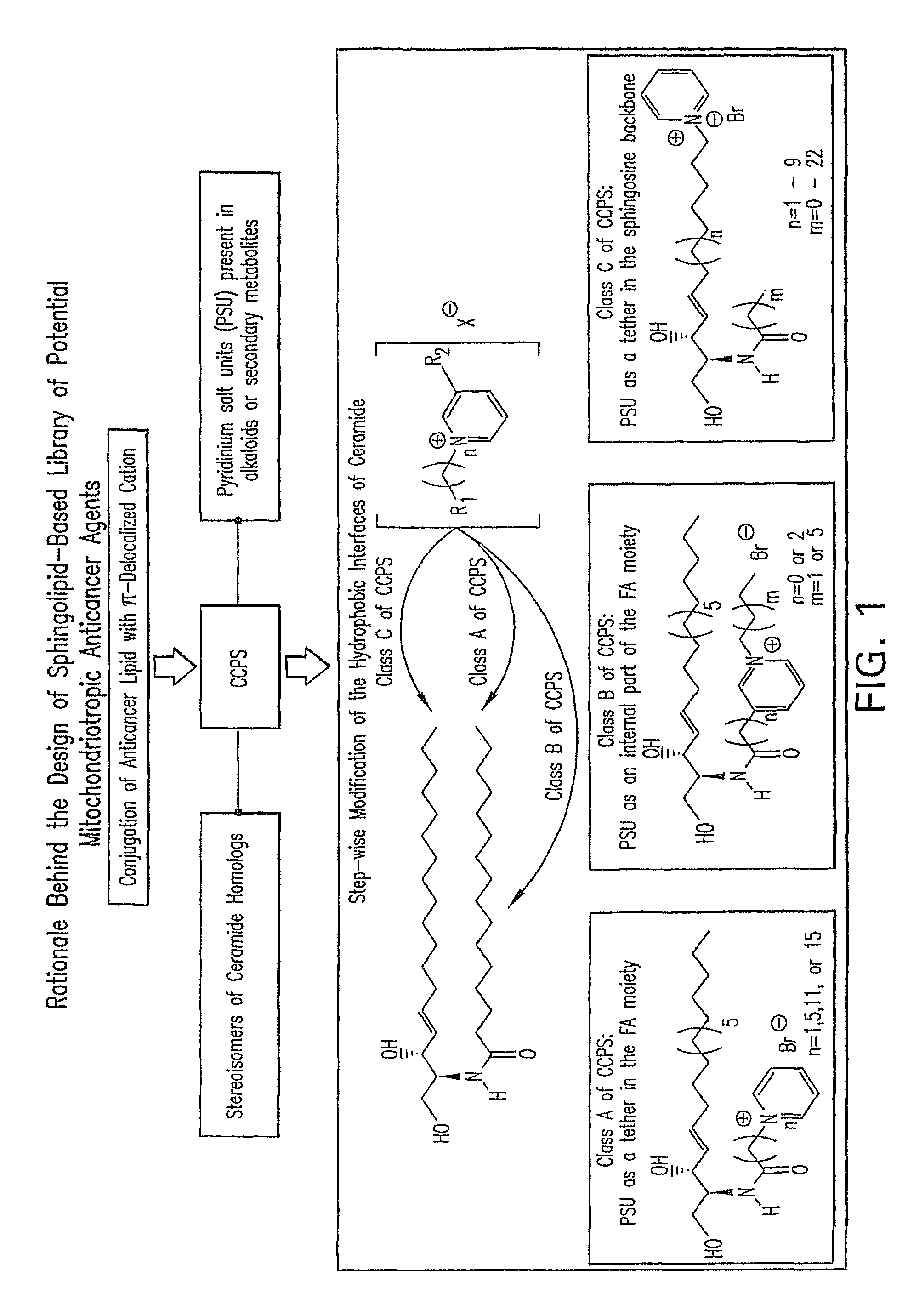 Cationic ceramides, and analogs thereof, and their use for preventing or treating cancer