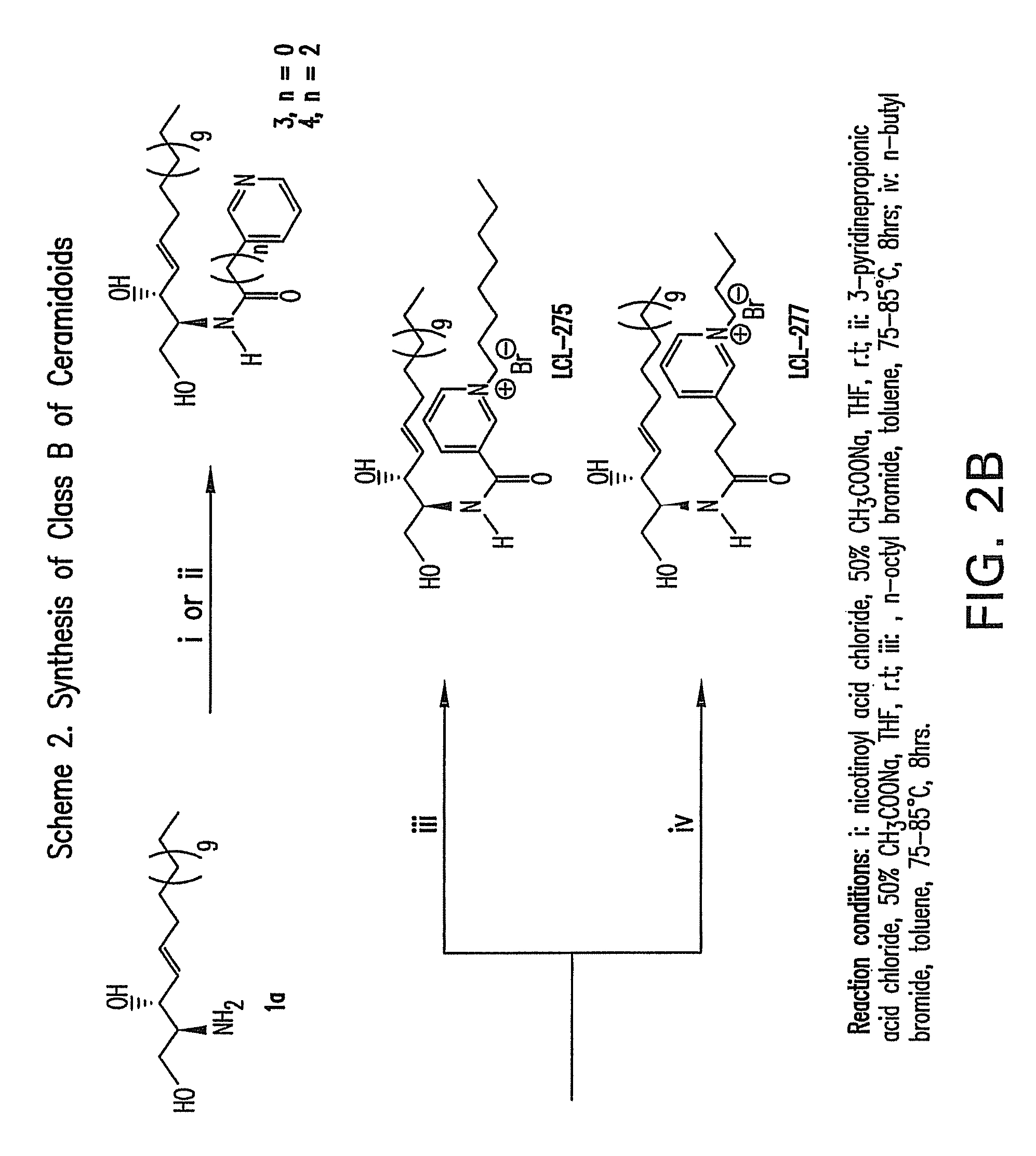 Cationic ceramides, and analogs thereof, and their use for preventing or treating cancer
