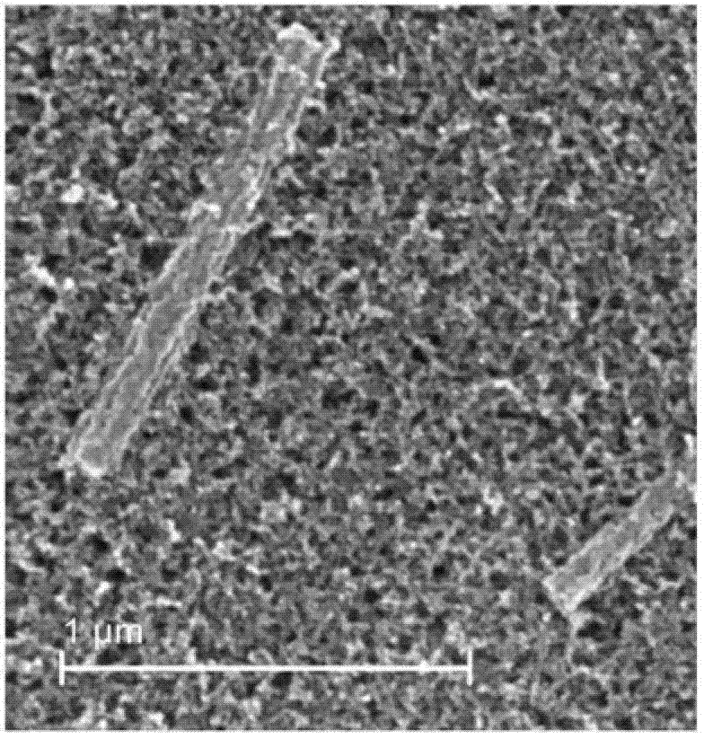 Semiconductor nanoparticle/nanofiber composite electrodes