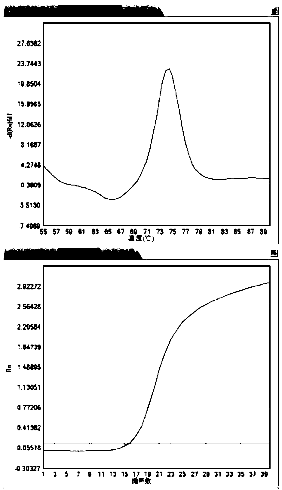 CYP2D6 gene mutation detection primer and kit