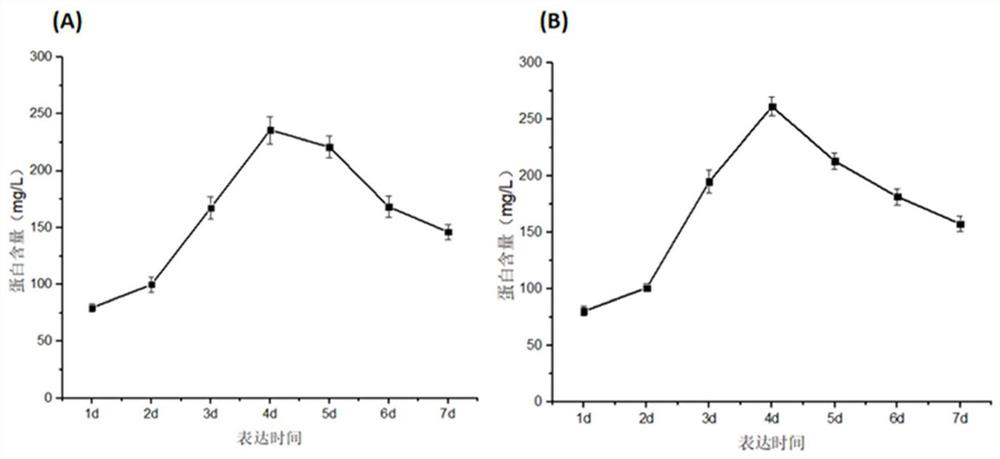 Application of protein in degradation of trypsin inhibitor