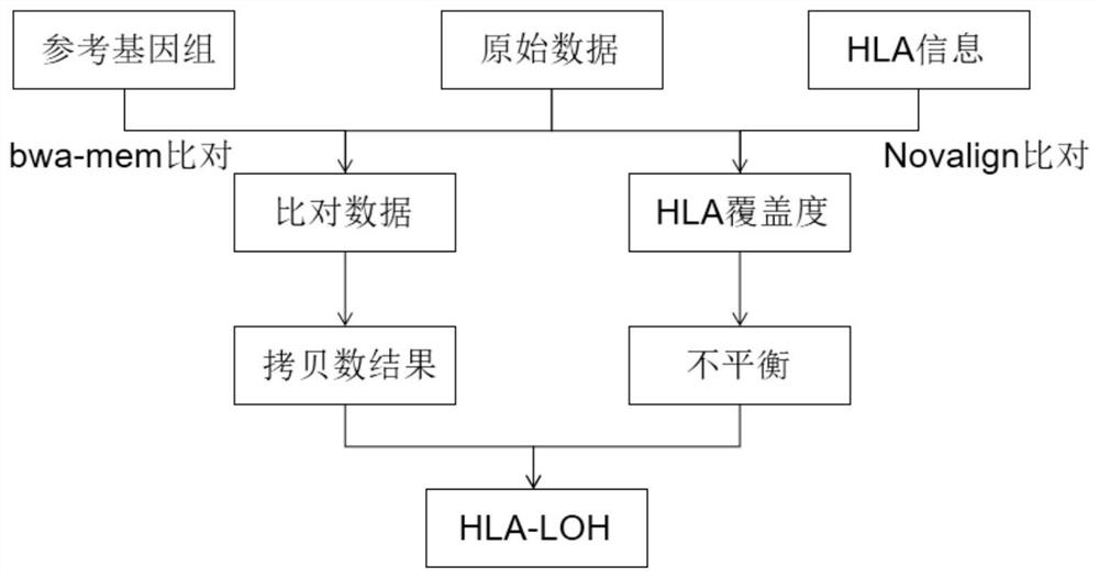 Method and system for detecting HLA heterozygosity deficiency