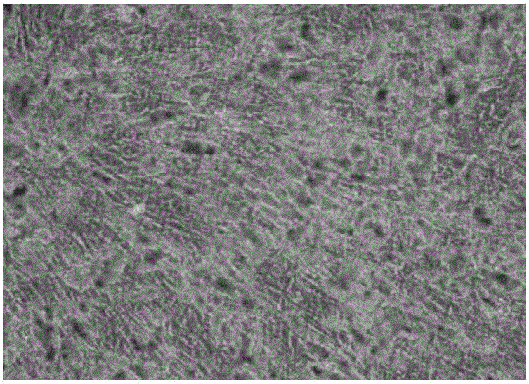 Kit for verifying endodontium mesenchymal stem cells