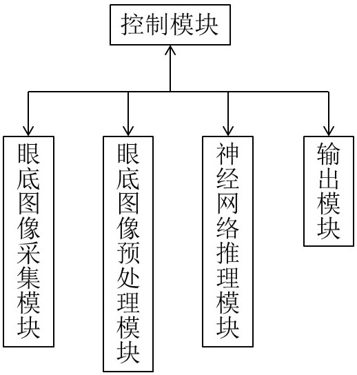 Glaucoma auxiliary screening system based on decoupling training and reasoning