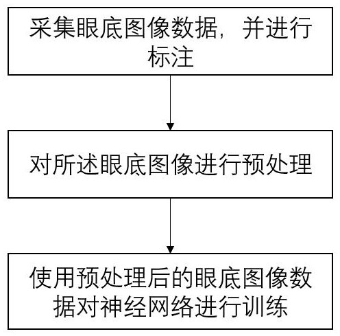 Glaucoma auxiliary screening system based on decoupling training and reasoning