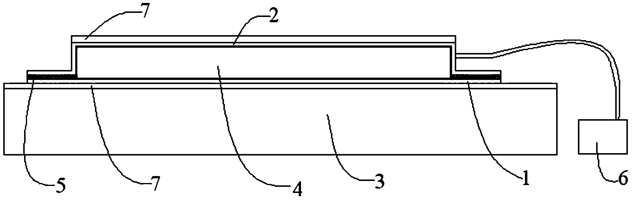 Vacuum-assisted preparation technology of dried leech products