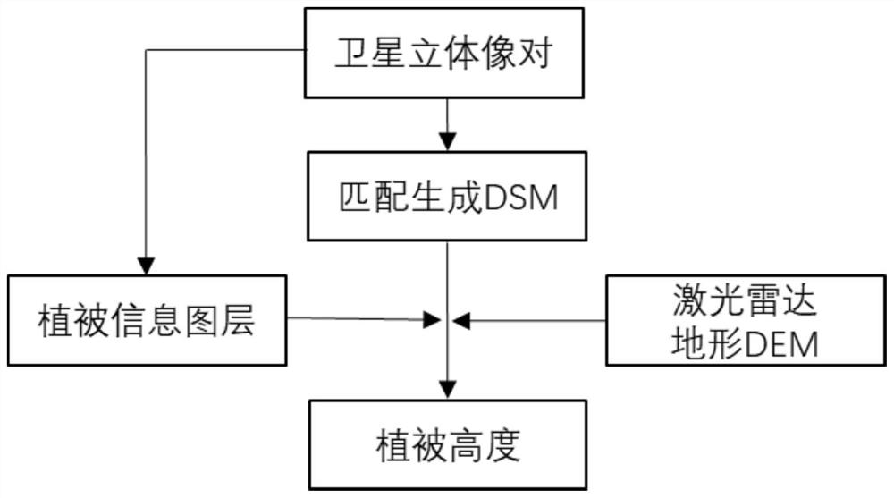 Vegetation height analysis method and system based on satellite remote sensing stereo imaging pair