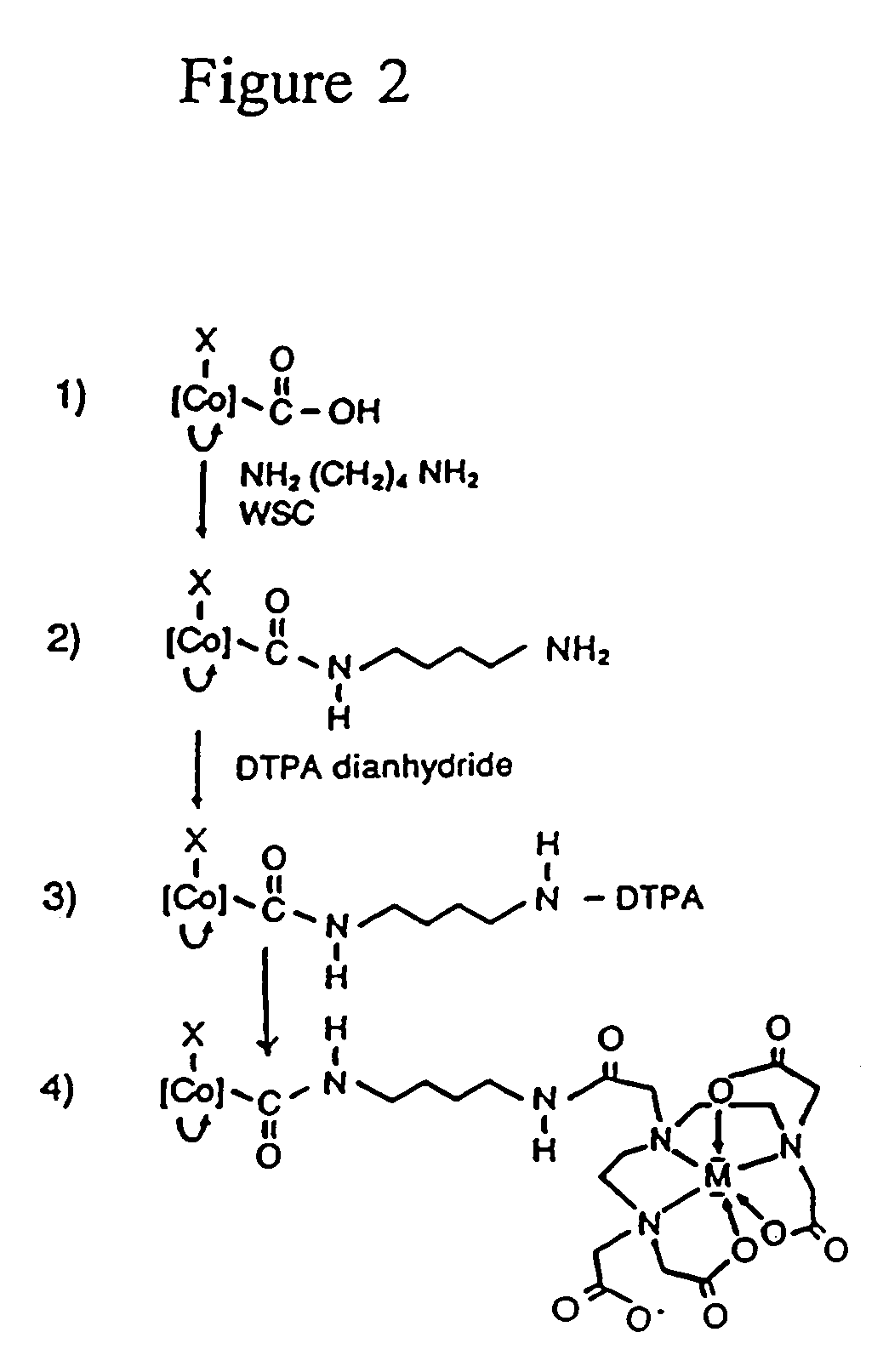 Radionuclide labeling of vitamin B<sub>12 </sub>and coenzymes thereof