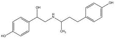 Ractopamine magnetic particle chemiluminiscence detection kit and preparation method thereof