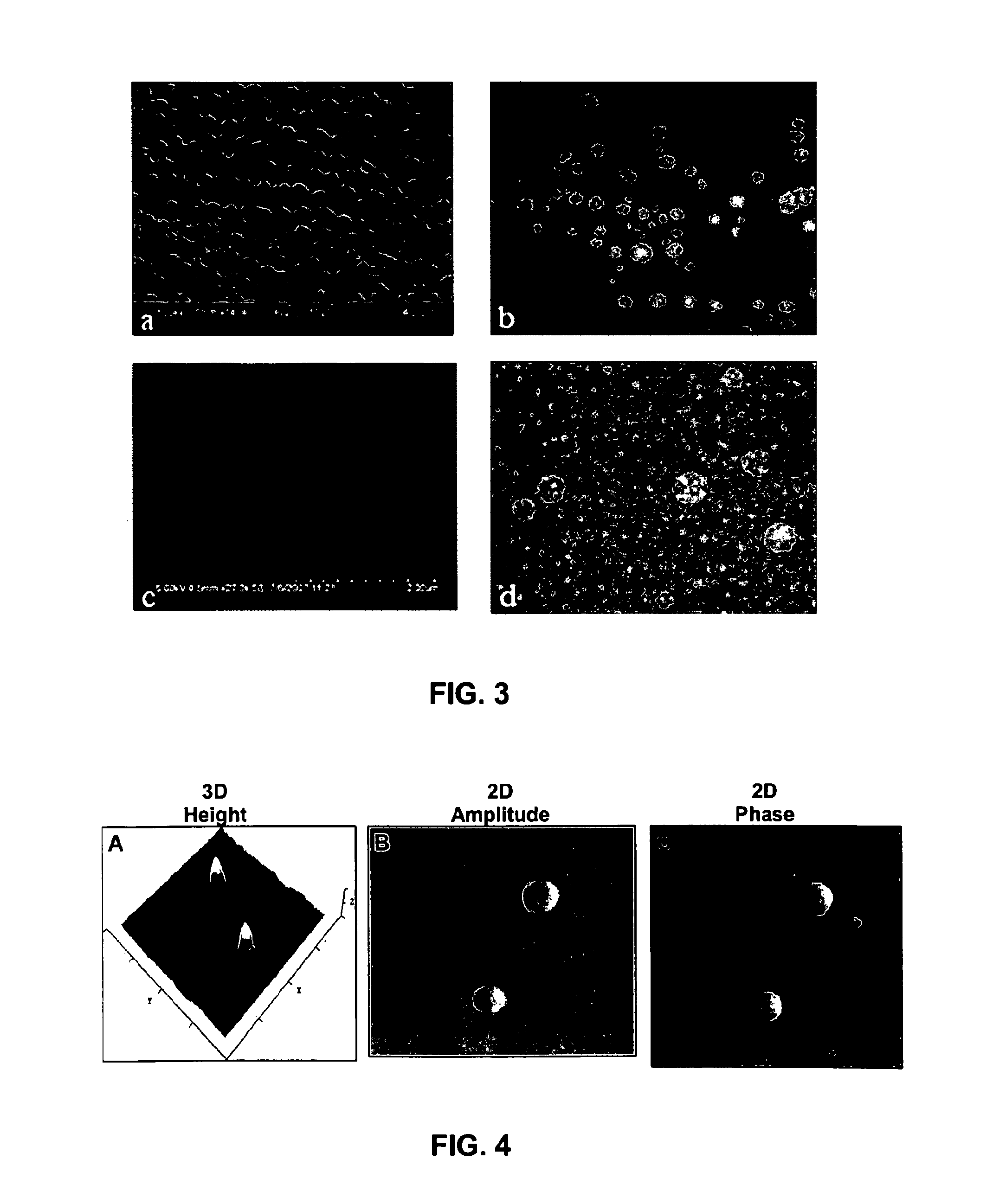 Method of forming non-immunogenic hydrophobic protein nanoparticles and uses therefor