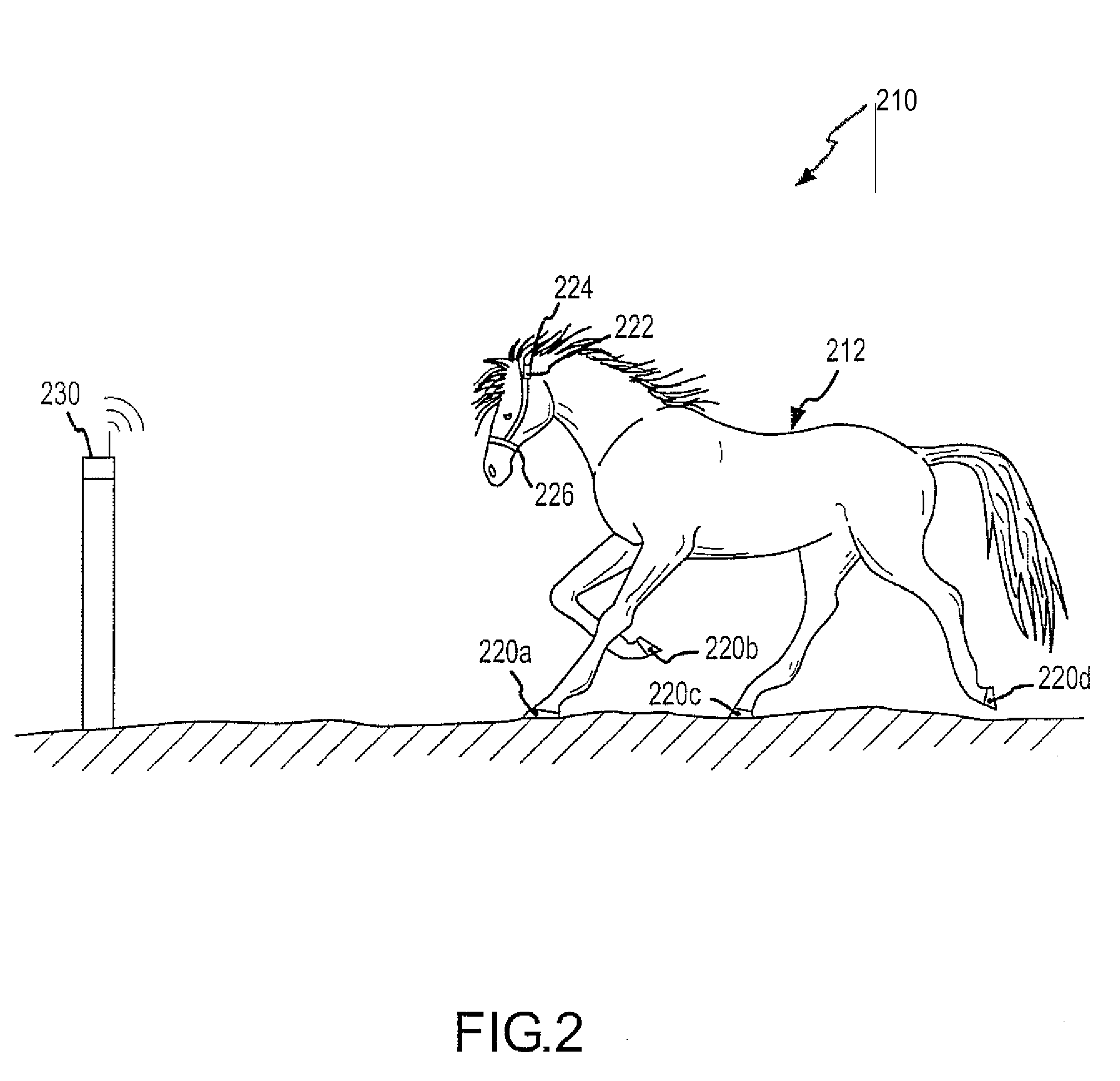 Monitoring System for Animal Husbandry