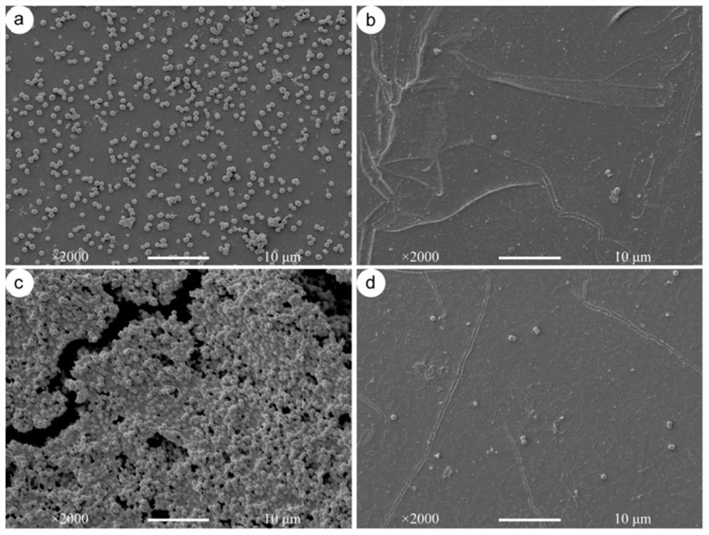 Anticoagulant, antibacterial, anti-adhesion, anti-inflammatory, lubricating copolymer coating material for the surface of silicone rubber material and preparation method thereof