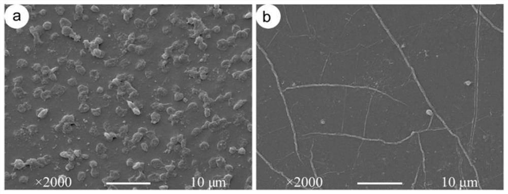 Anticoagulant, antibacterial, anti-adhesion, anti-inflammatory, lubricating copolymer coating material for the surface of silicone rubber material and preparation method thereof