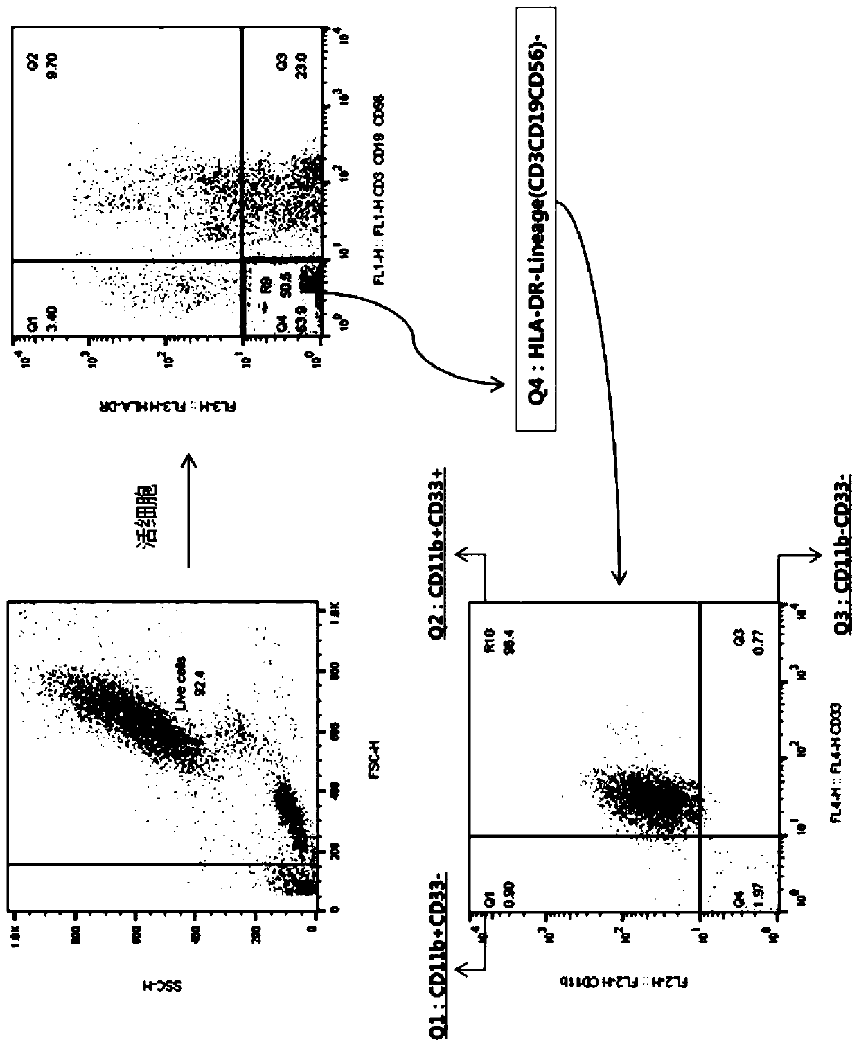 Method for assessing immunity and providing information on whether or not the onset of cancer has begun by utilizing difference in immune cell distribution between peripheral blood of colorectal cancer patient and normal person, and diagnostic kit using same