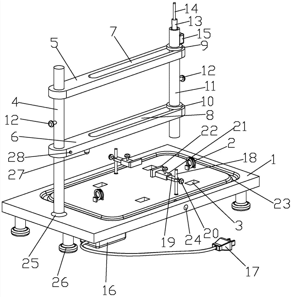 Animal spinal cord injury hitting device