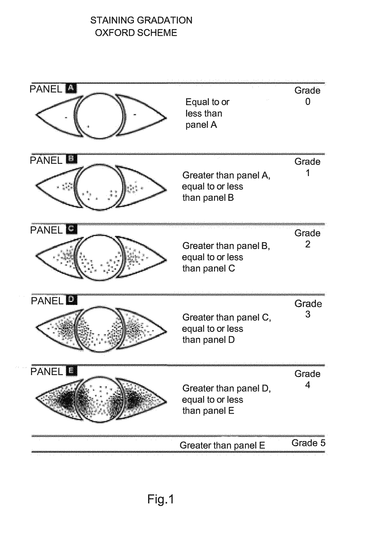 Electrode system, device and method for the treatment of eye diseases, in particular dry eye