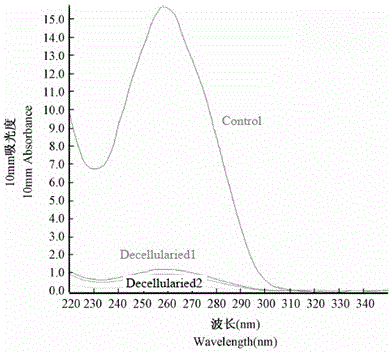 Preparation method of rapidly decellularized unifoliate liver biological scaffold