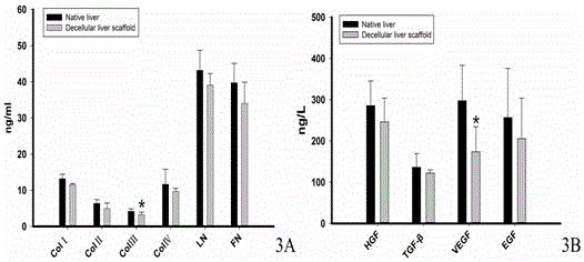 Preparation method of rapidly decellularized unifoliate liver biological scaffold