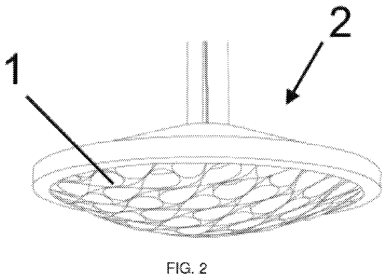 Method for manufacturing wood sheets for lamps and thus obtained wood sheet