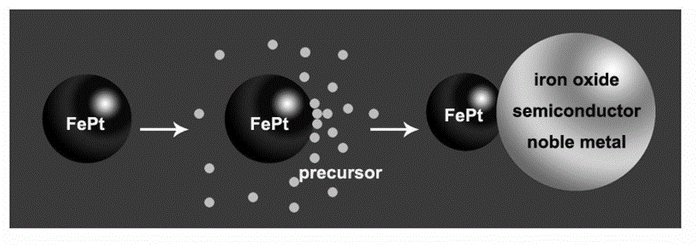 Method for establishing nanometer heterostructure based on FePt nanometer particles