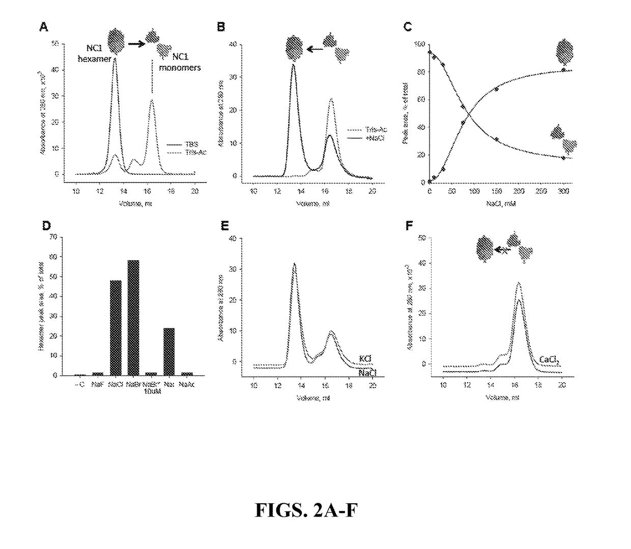 Recombinant collagen iv surrogates and uses thereof