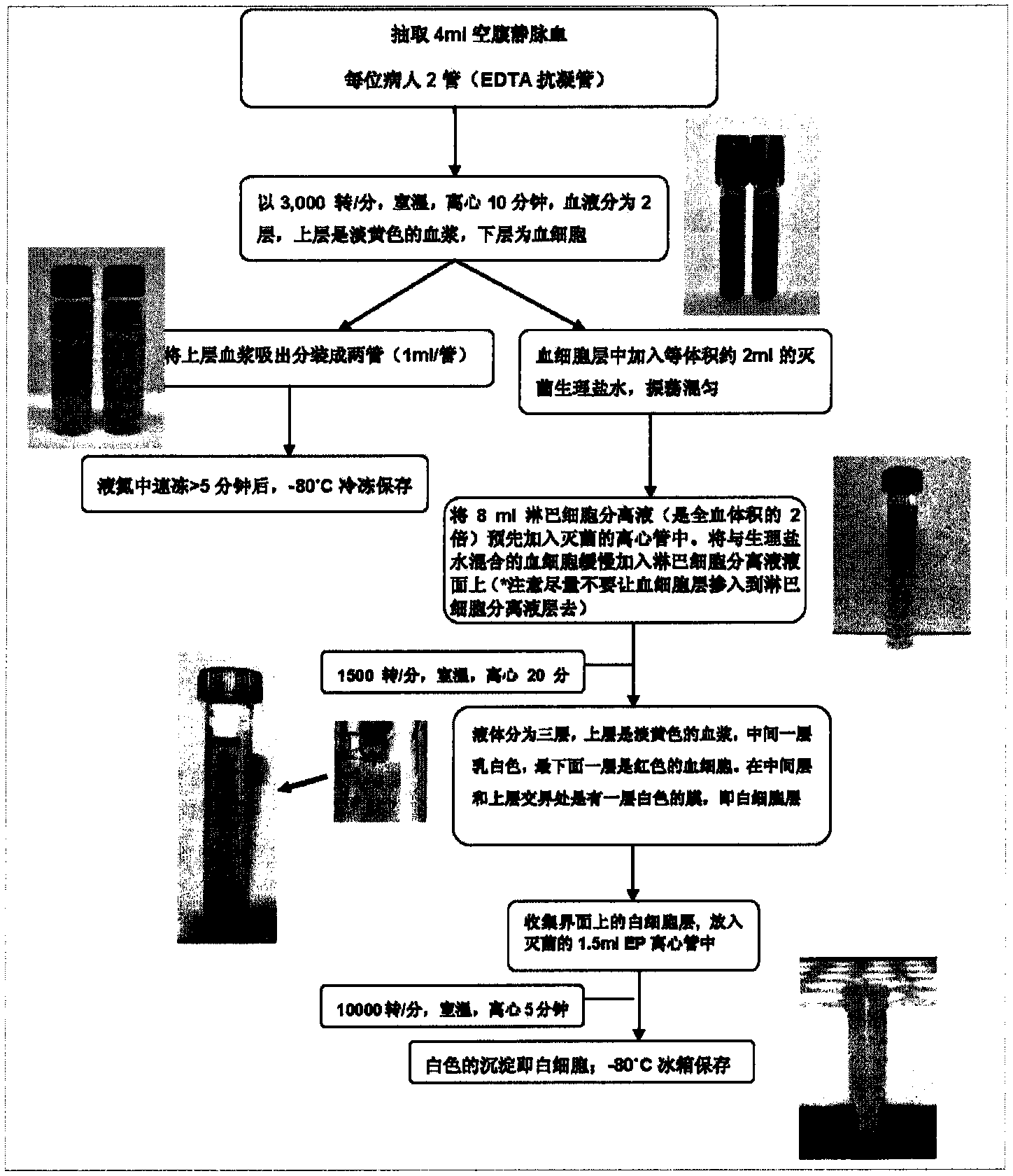 Colorectal cancer susceptibility diagnostic kit and application of SNP (single nucleotide polymorphism) in preparation of diagnostic kit