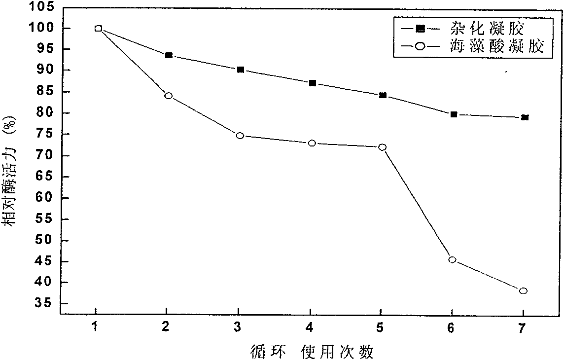 Method for fixing beta-glucuronidase by alginate-calcium carbonate hybrid gel