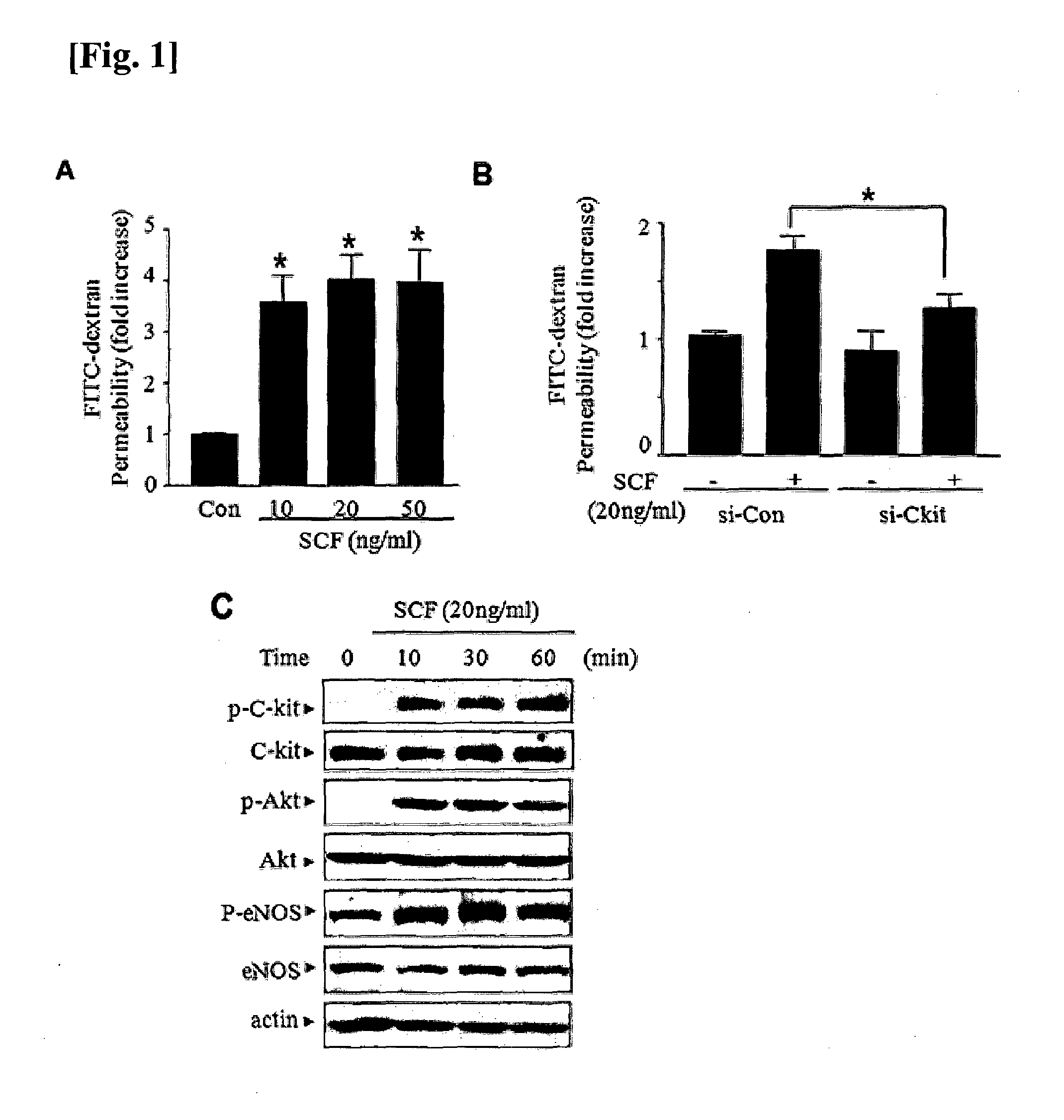 Composition comprising material for inhibiting scf or receptor thereof for treating or preventing diseases associated with vascular permeability