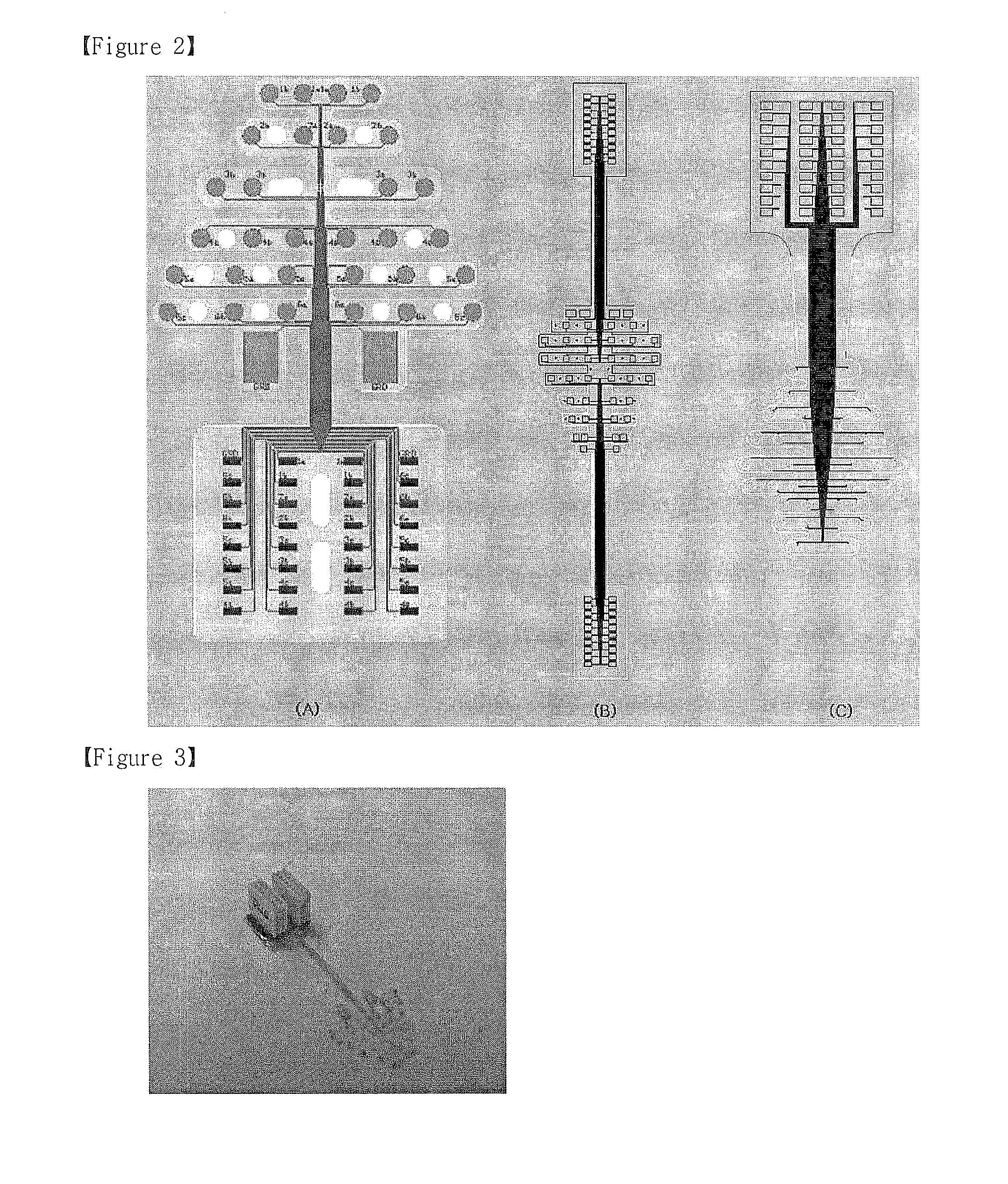 Flexible, multi-channel microelectrode for recording laboratory animal eeg and method for recording laboratory animal eeg using the same